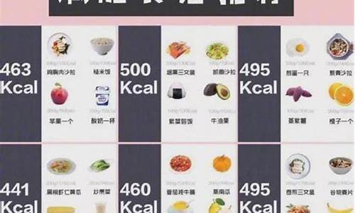 500卡路里食谱_500卡路里食谱大全